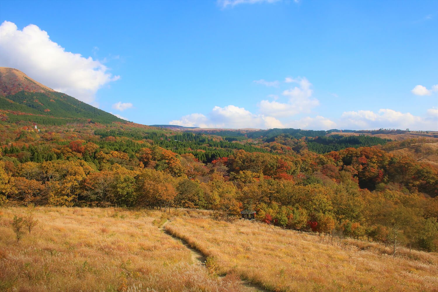 🌋 아소쿠주 국립공원 이미지 8